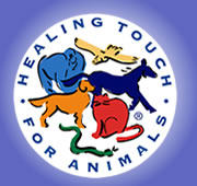 healing touch logo