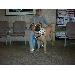 Thumbnail of photo in album