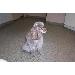 Thumbnail of photo in album
